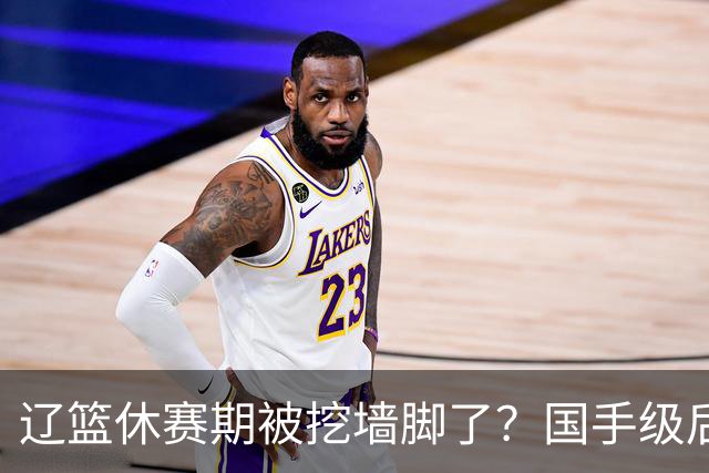 辽篮休赛期被挖墙脚了？国手级后卫恐被交易：变相逼着赵继伟走人